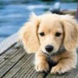 Meet your Posher, Tonya